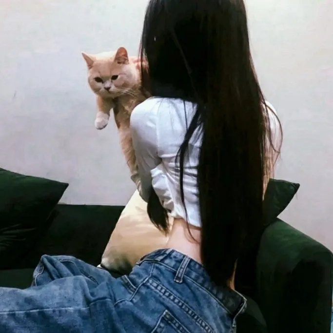 生死快递 在线观看